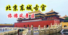 姑娘和小伙在一起操B影视中国北京-东城古宫旅游风景区